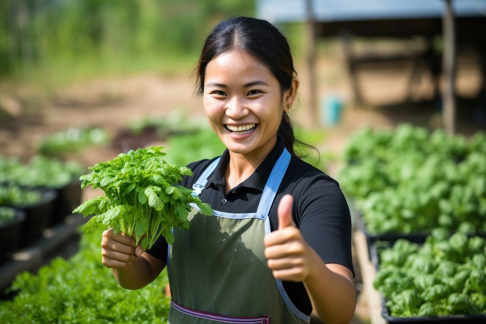 Women thai farmer gardening vegetable outdoors.