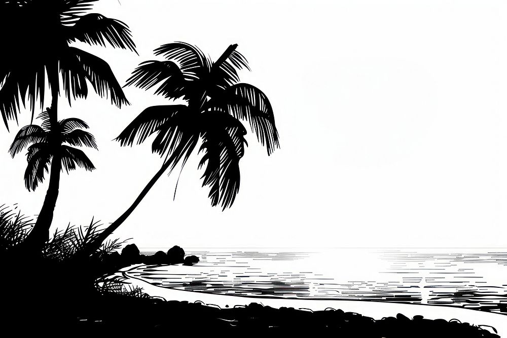 Beach silhouette vegetation arecaceae.
