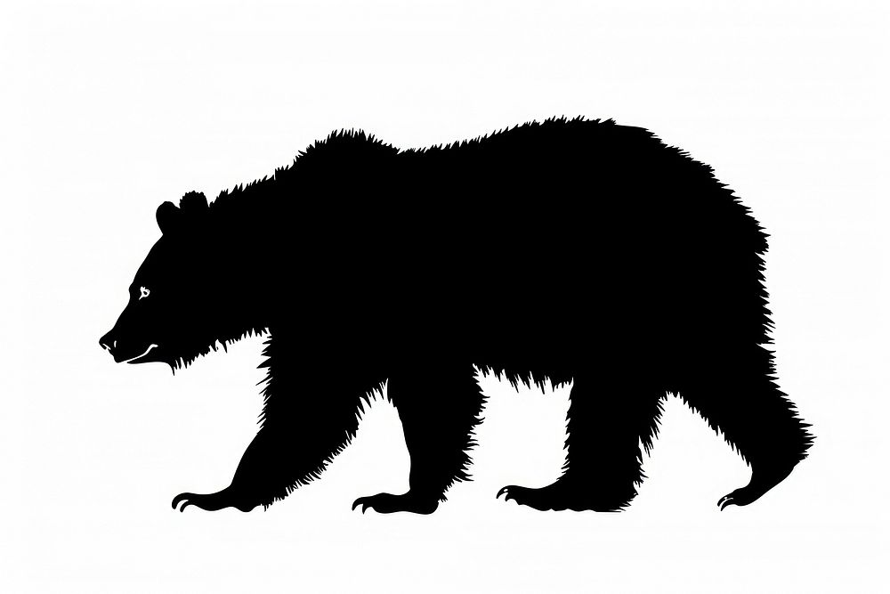 Bear silhouette wildlife animal.