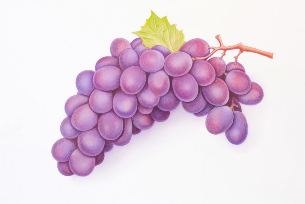 Grape grapes chandelier produce.