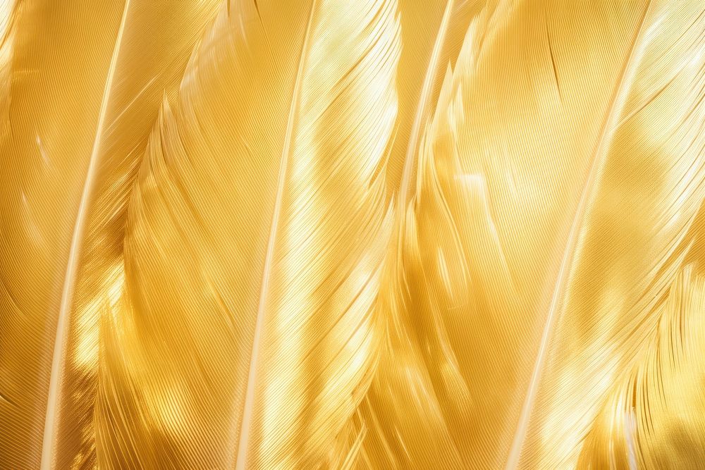 Feathers texture gold silk.
