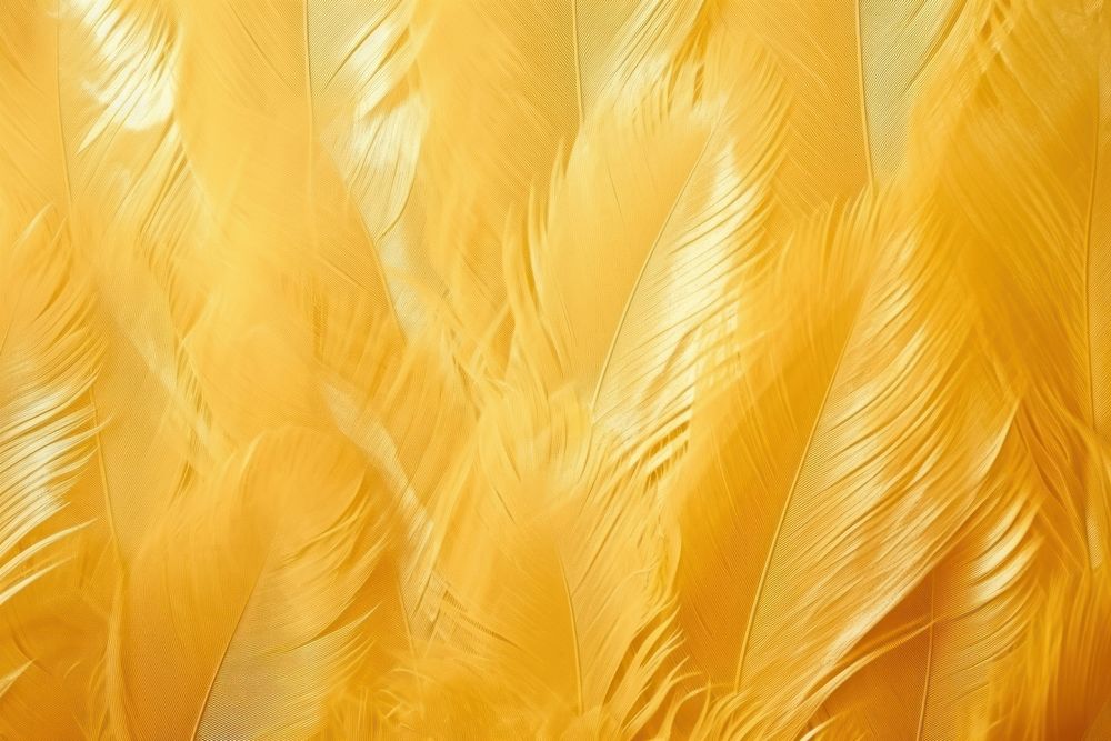 Feathers texture person human.