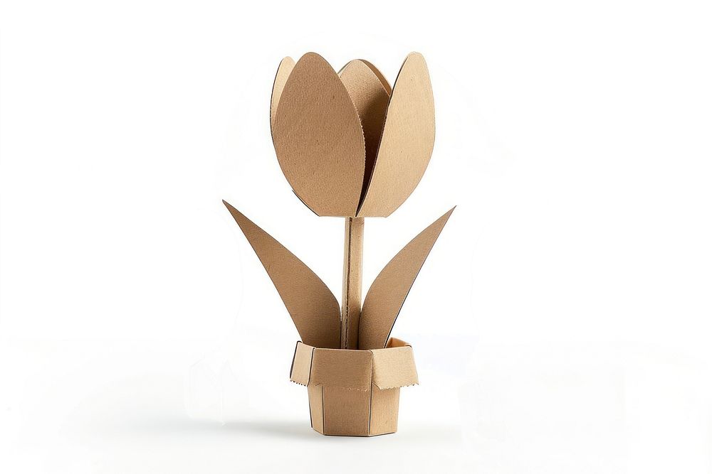 Tulip cardboard cutlery carton.