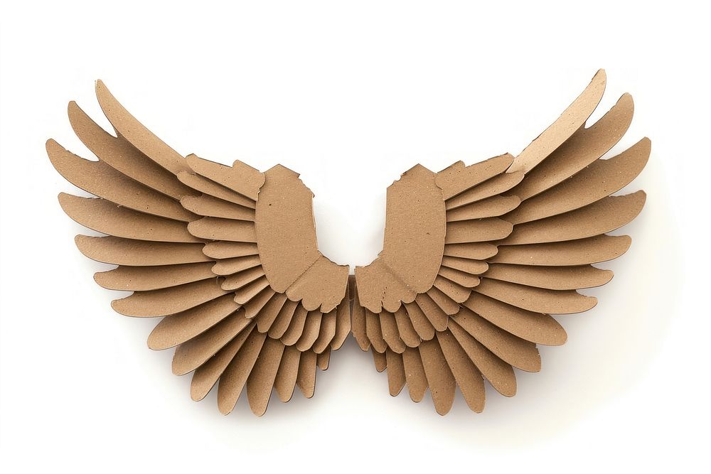 Wings cardboard paper invertebrate.