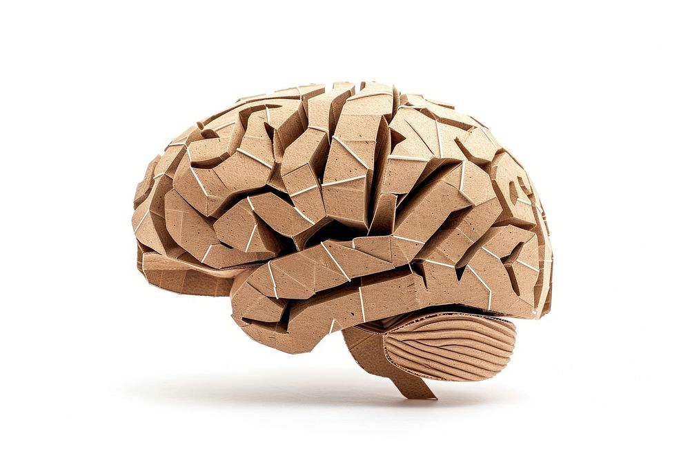 Brain cardboard paper ammunition.