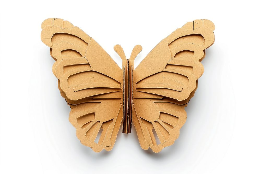 Butterfly cardboard butterfly invertebrate.