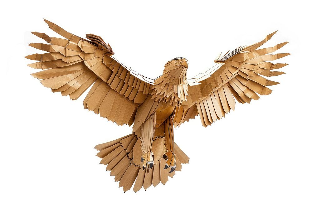 Eagle eagle vulture animal.