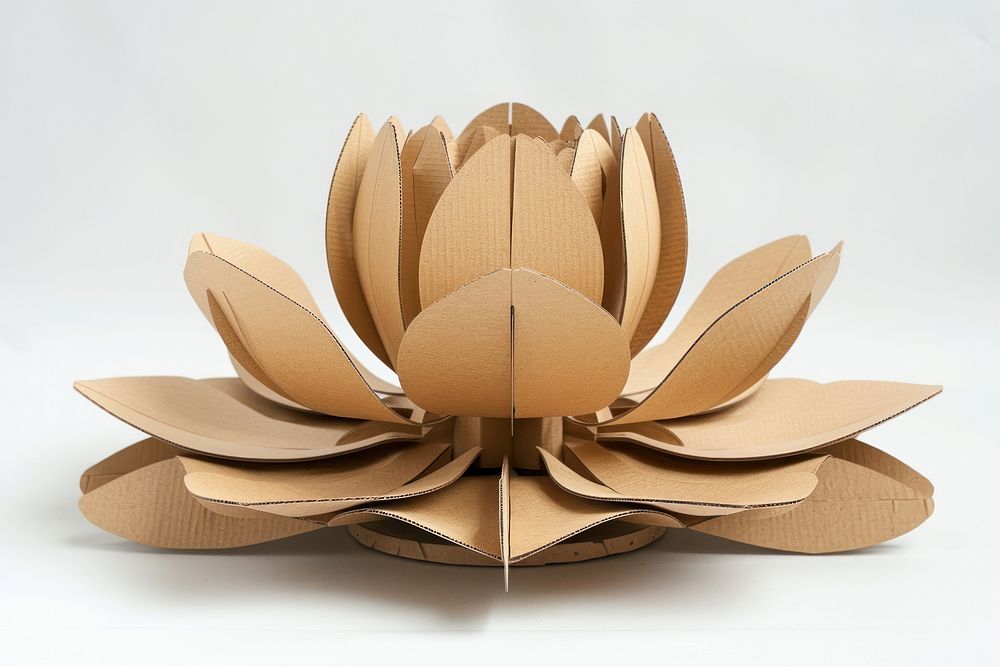 Lotus cardboard paper carton.