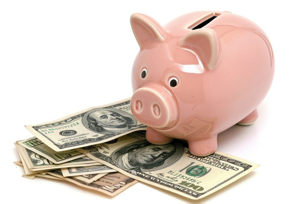 Piggy Bank and Cash piggy bank person human.