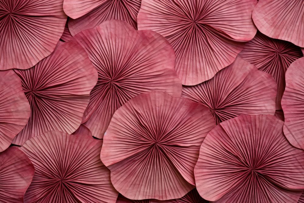 Lotus pattern fabric texture blossom flower fungus.