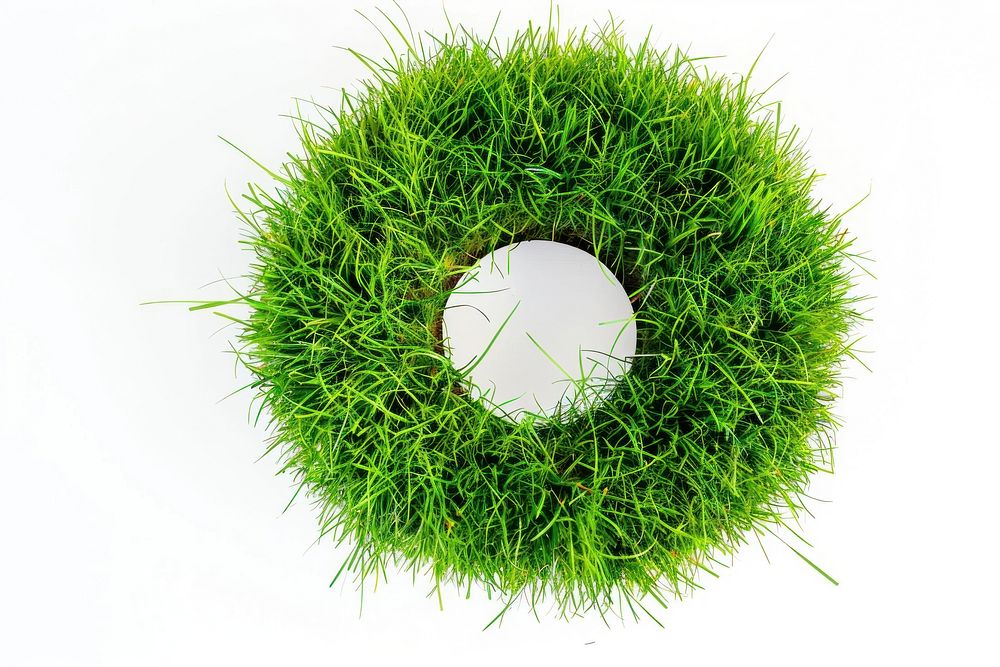 Torus shape lawn grass green football.