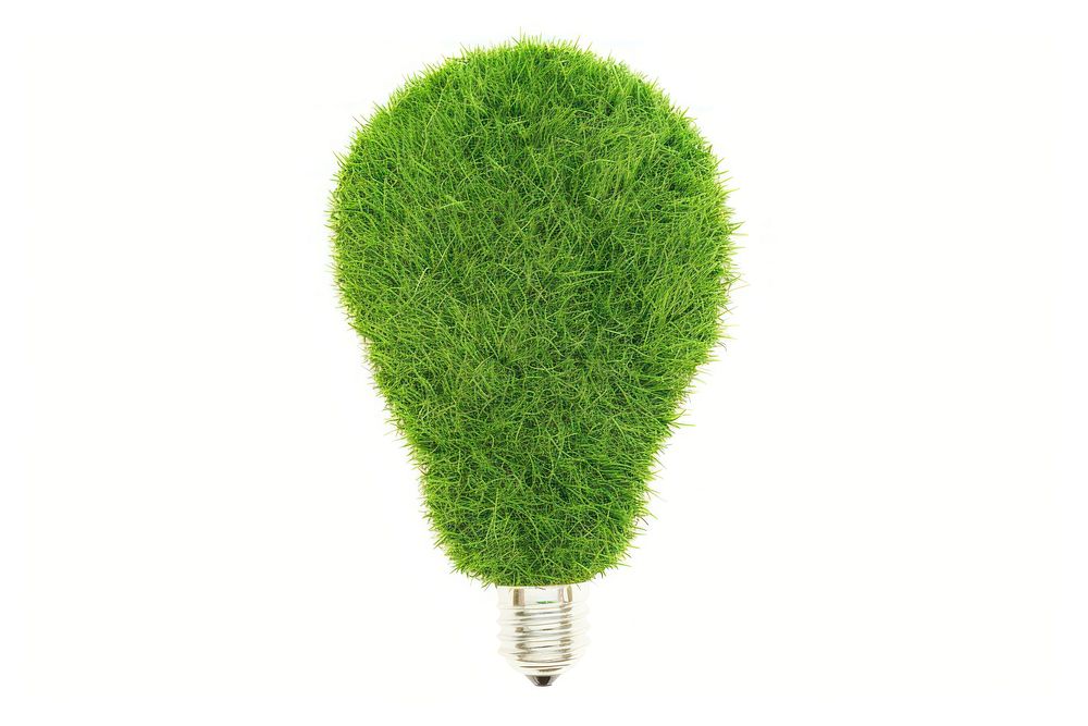 Lightbulb shape lawn electronics plant moss.