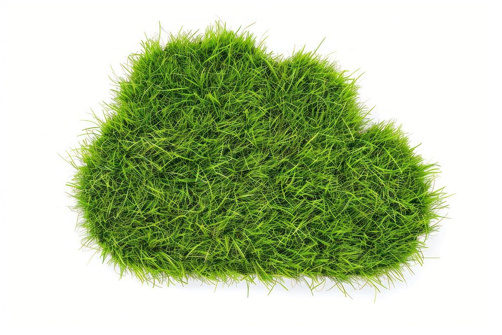Speech bubble box shape lawn grass seasoning plant.