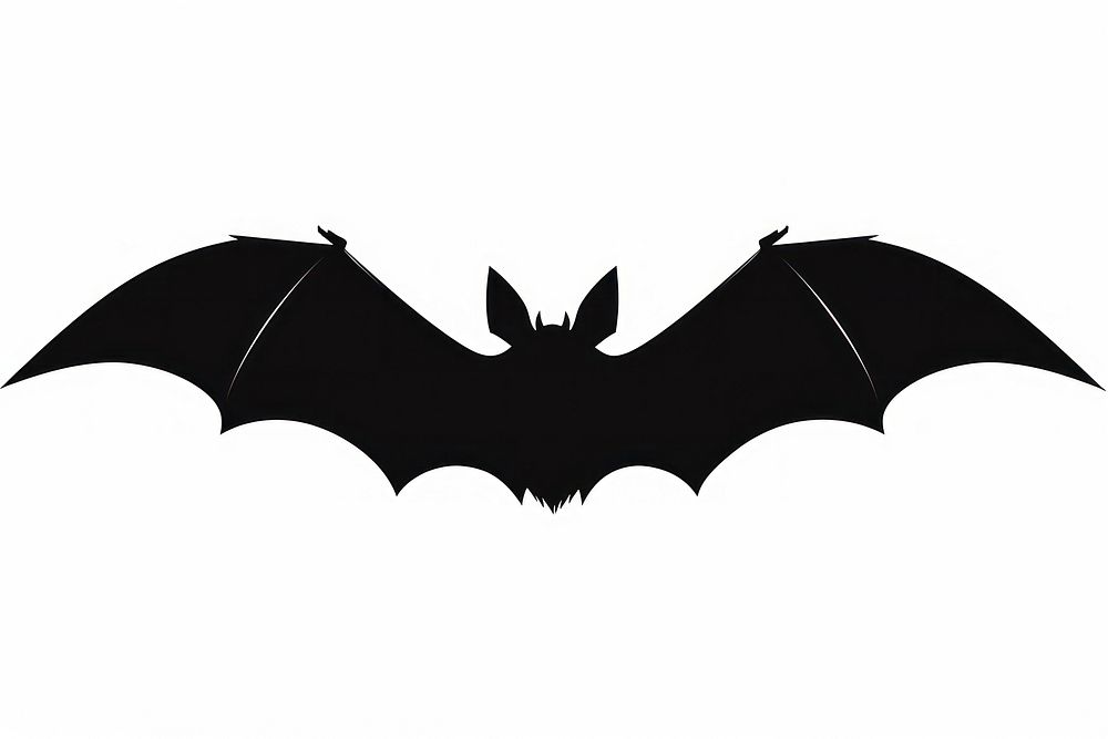 Bat silhouette wildlife animal mammal.