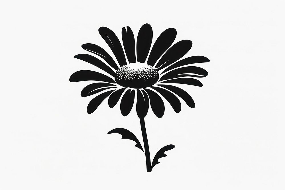 Daisy silhouette asteraceae chandelier blossom.
