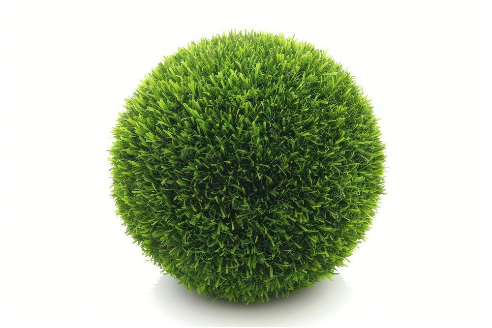 Sphere shape lawn grass green vegetation.