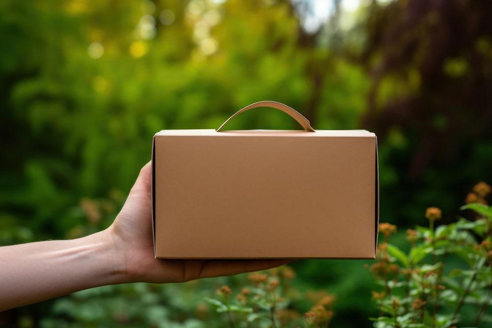 Hand holding cardboard food box with handles accessories accessory handbag.