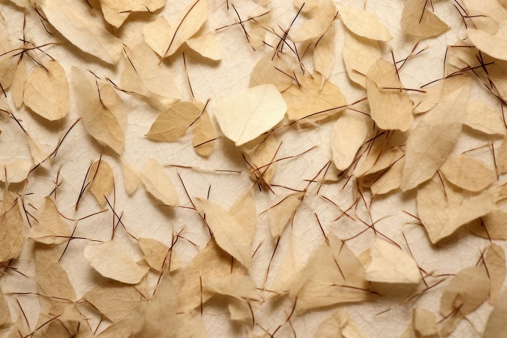 Plant fibre mulberry paper texture plywood leaf.