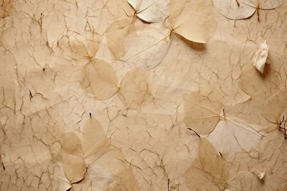 Plant fibre mulberry paper texture petal outdoors.