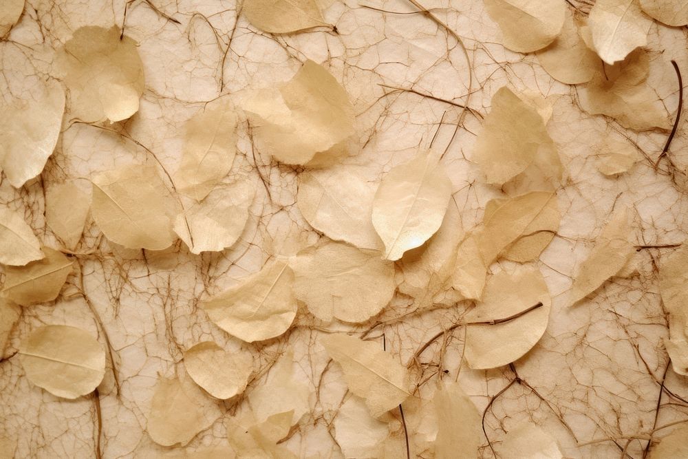 Plant fibre mulberry paper texture leaf rock.