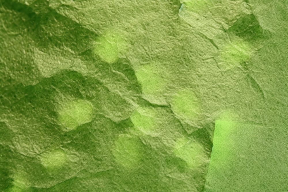Plant fibre mulberry paper texture green vegetation.