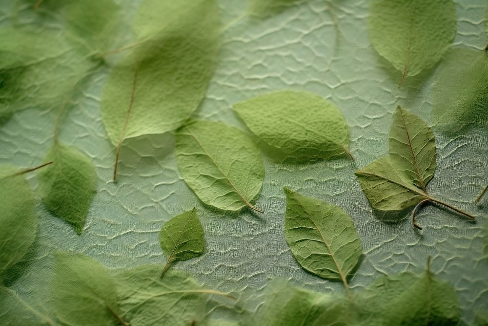 Plant fibre mulberry paper green vegetation cricket.
