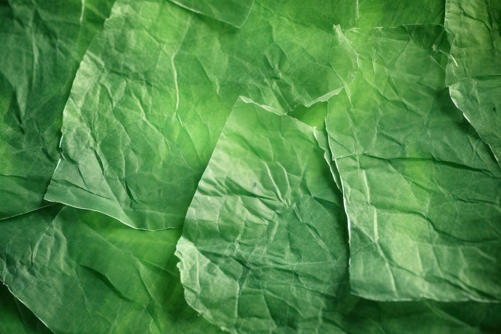 Plant fibre mulberry paper green towel leaf.