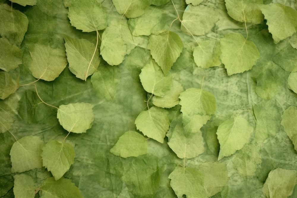 Plant fibre mulberry paper green vegetation herbal.