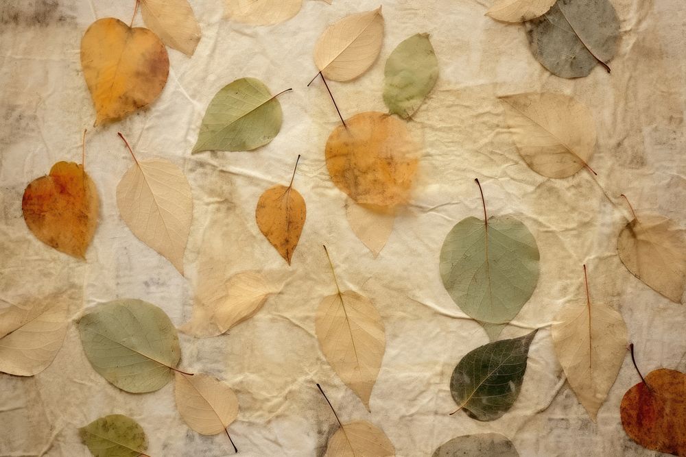 Plant fibre mulberry paper texture produce linen.