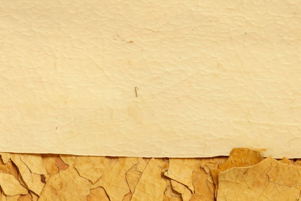 Plant fibre mulberry paper texture leaf wood.