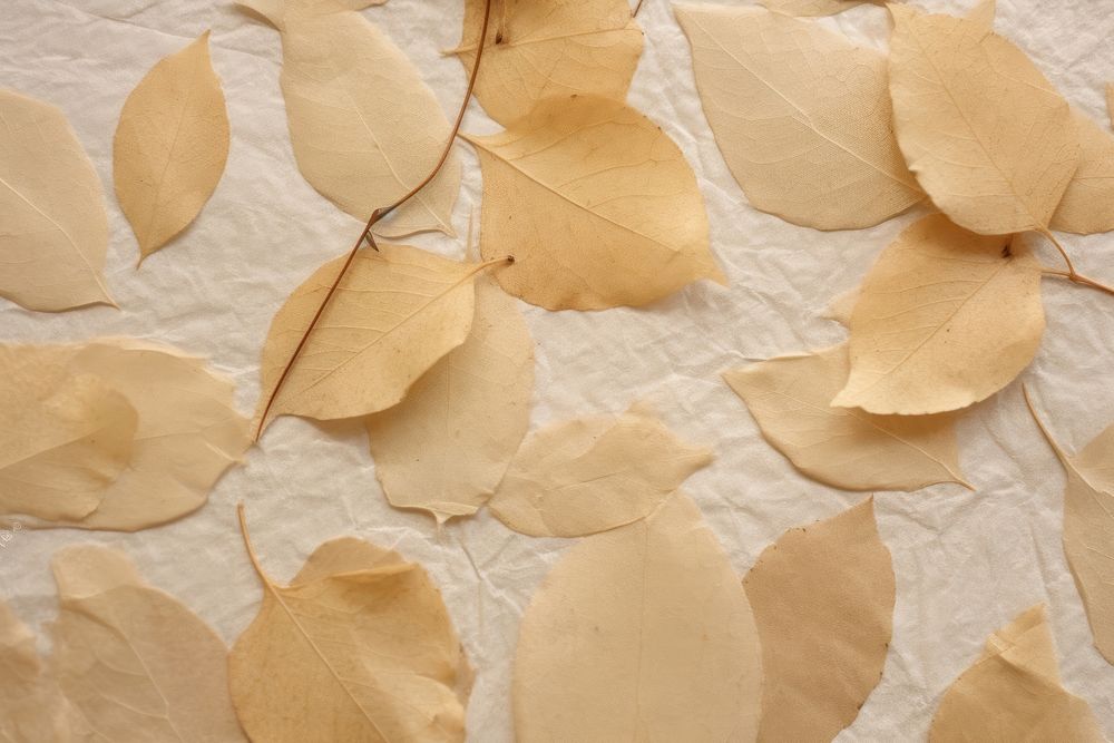 Plant fibre mulberry paper texture furniture leaf.