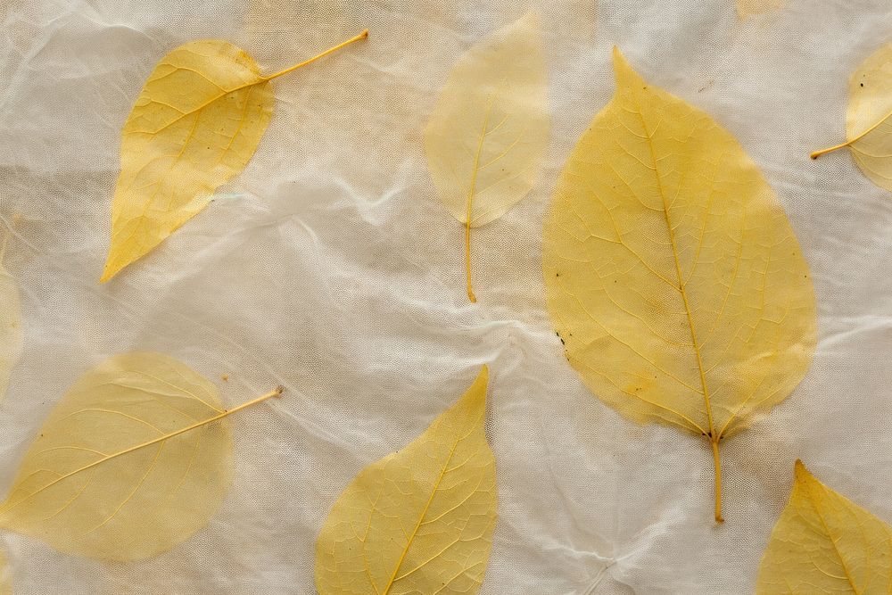 Plant fibre mulberry paper tobacco leaf.