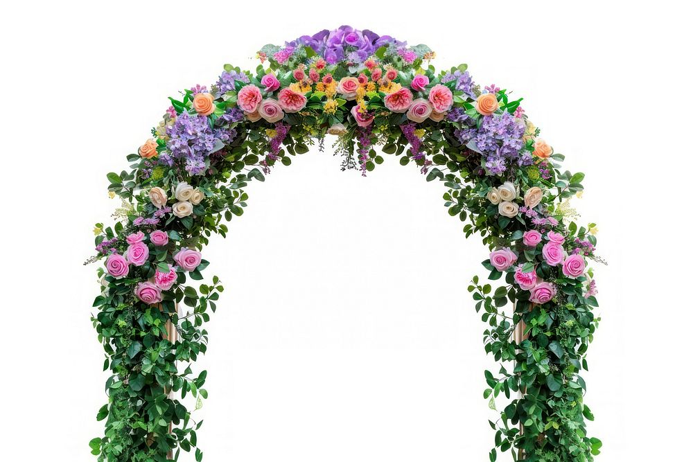 Colorful floral arch flower plant rose.