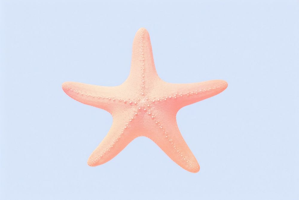 Starfish shape invertebrate underwater.
