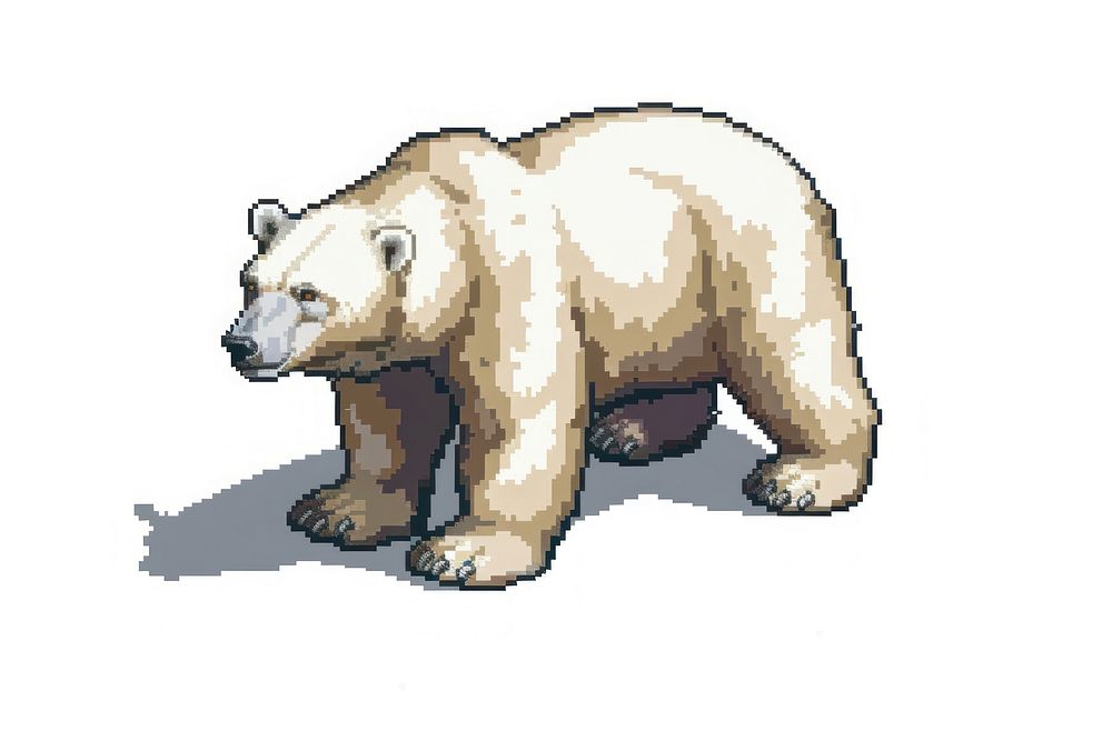 Polar bear wildlife mammal white background.