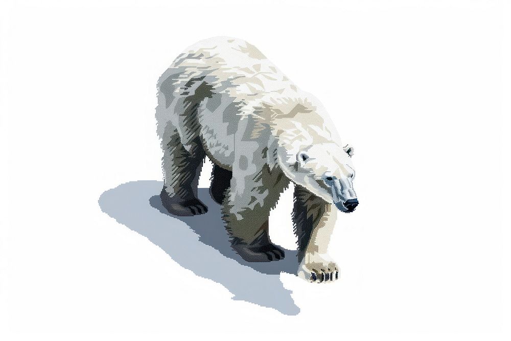 Polar bear wildlife animal mammal.