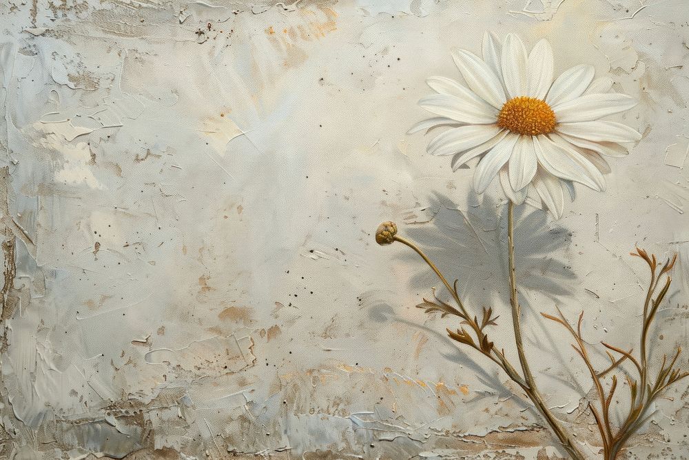 Close up on pale chamomile painting backgrounds flower.