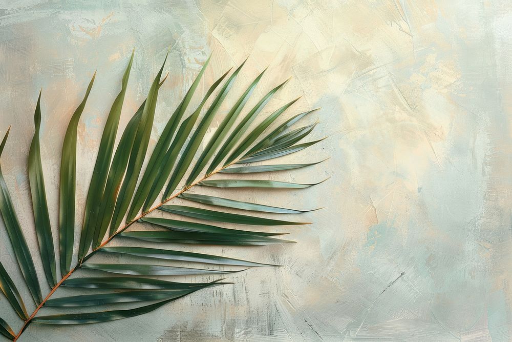 Close up on pale American coconut leaf painting backgrounds plant.