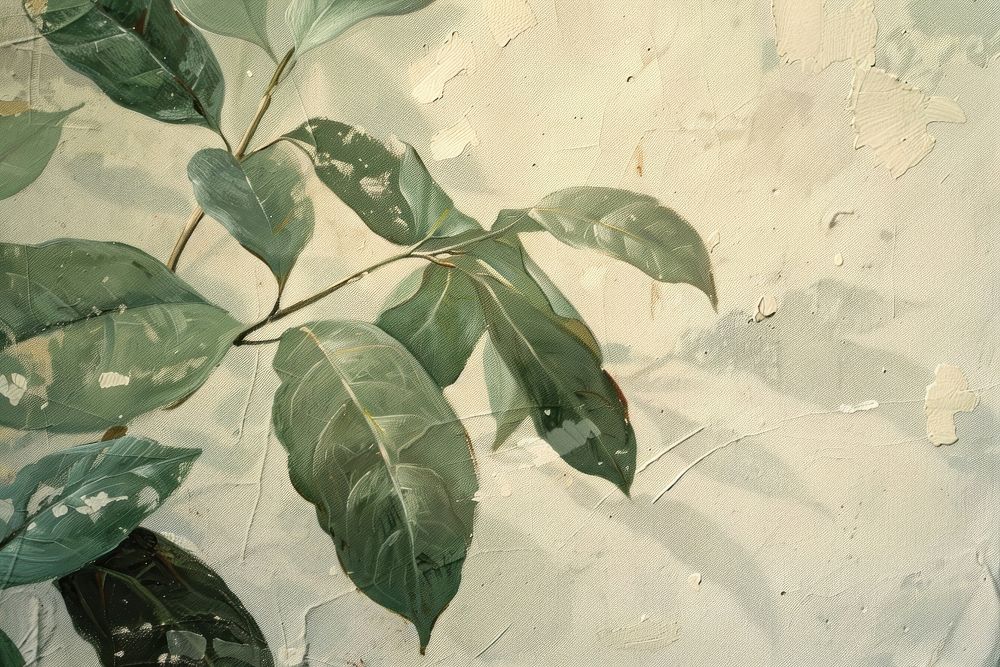 Close up on pale Leaf leaf backgrounds plant.