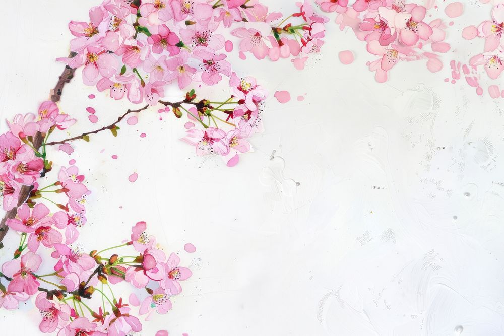 Cherry blossom frame backgrounds flower petal.
