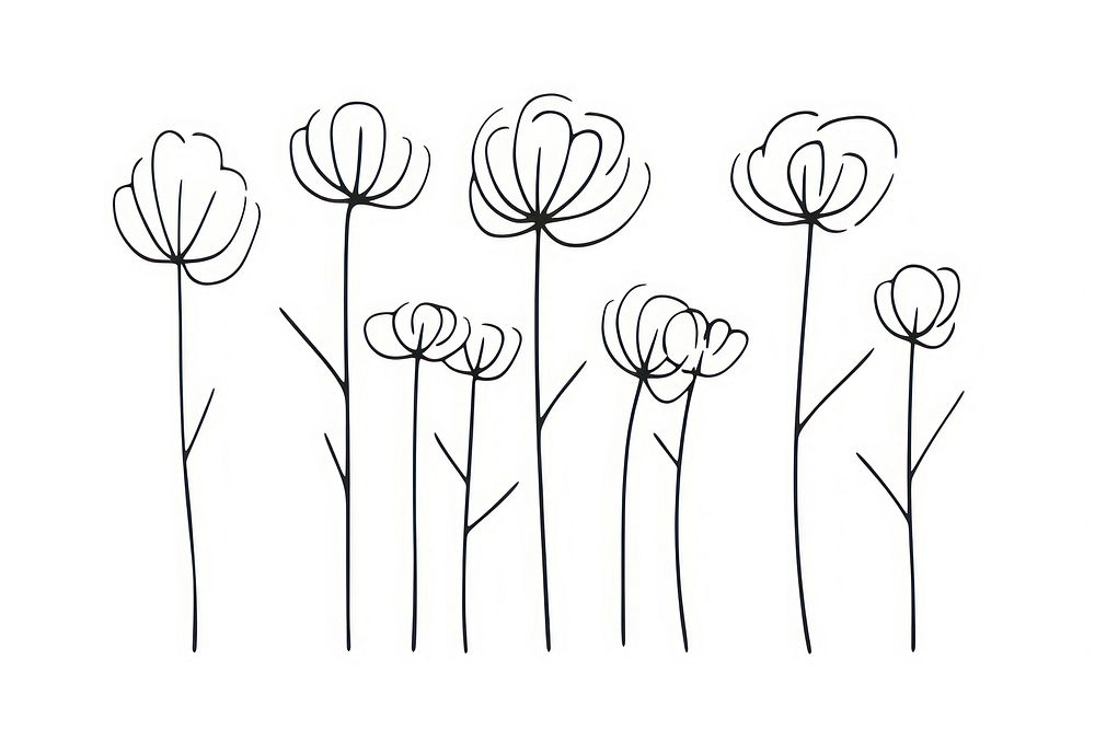 Minimal illustration of wildflower drawing illustrated sketch.