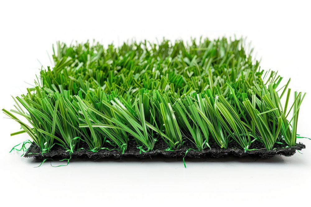 Artificial turf grass plant lawn.