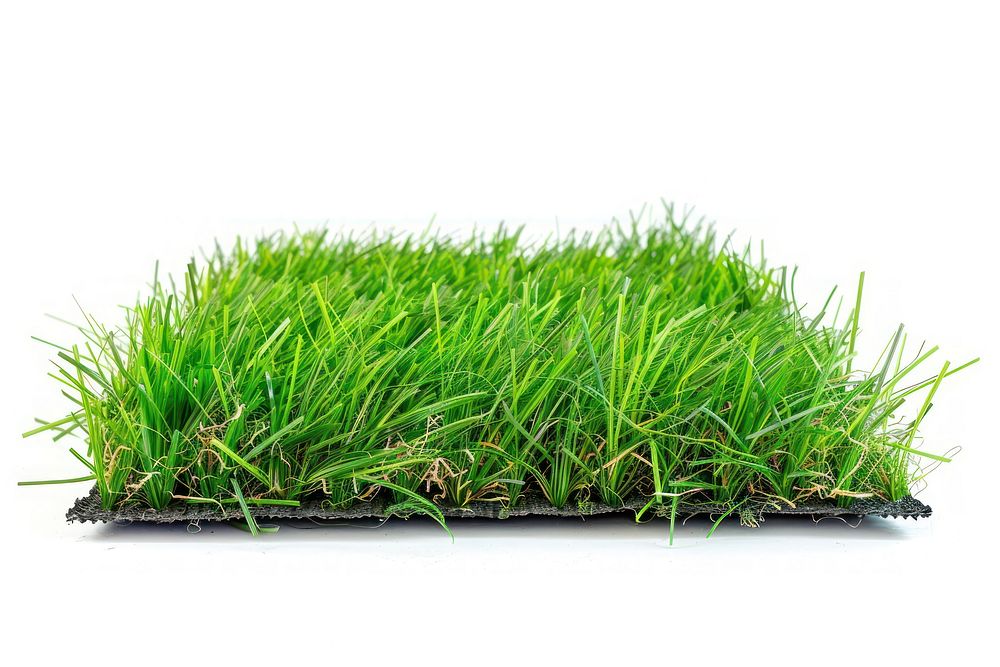 Artificial turf grass plant lawn.