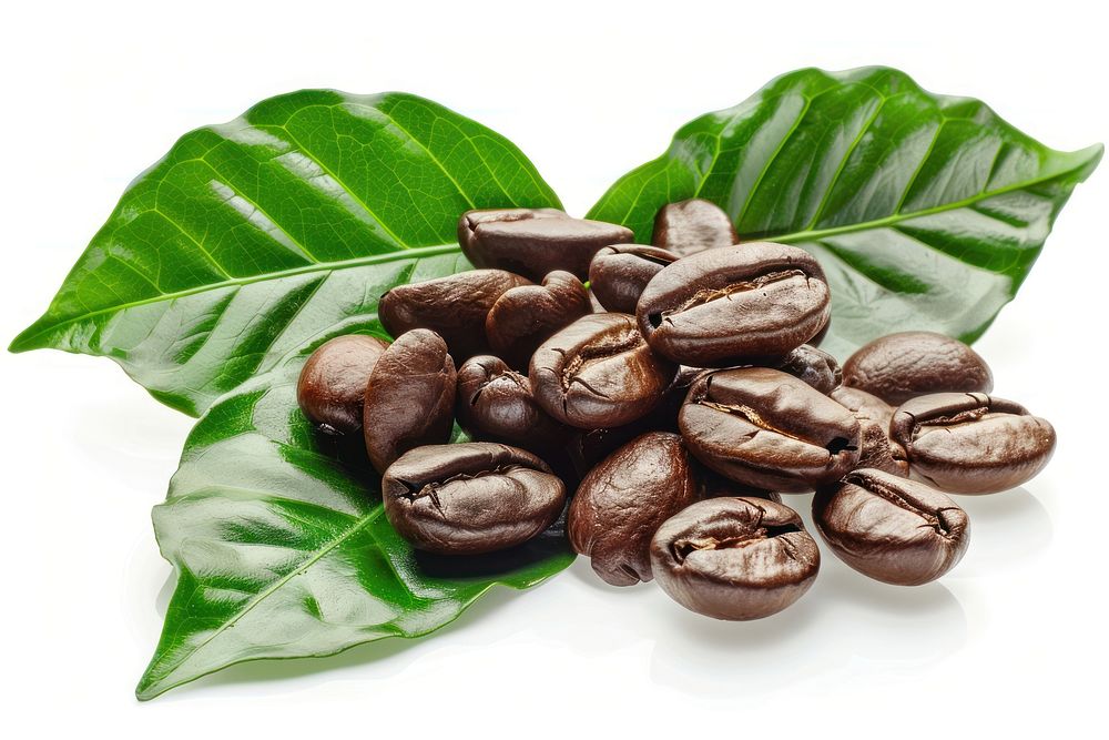 Coffee beans food white background freshness.