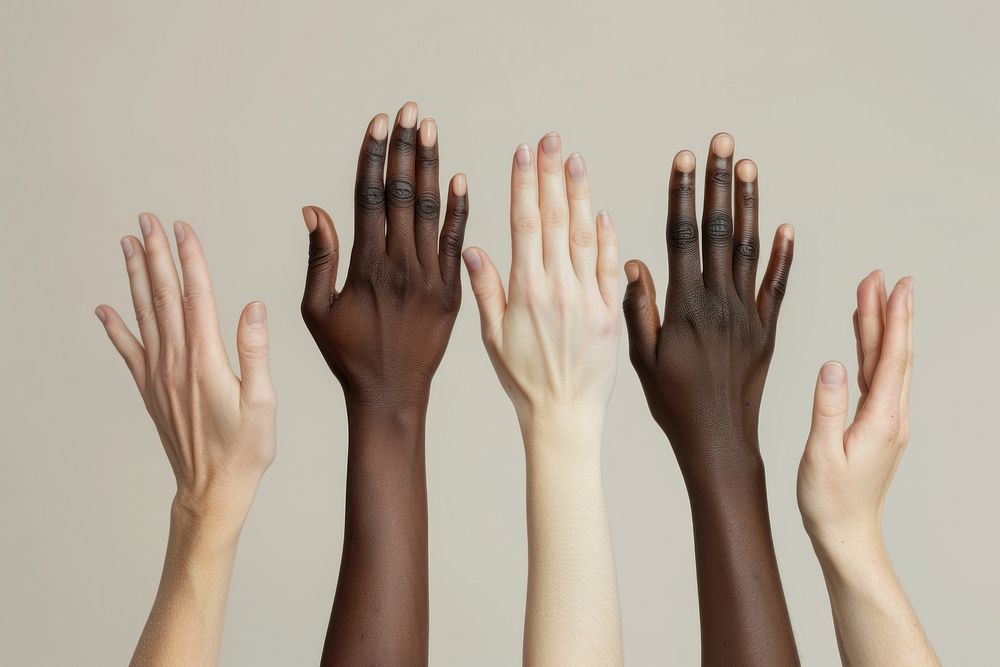 Diversity hands finger person human.