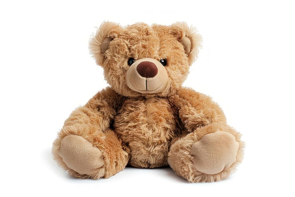 Plush teddy bear plush toy.