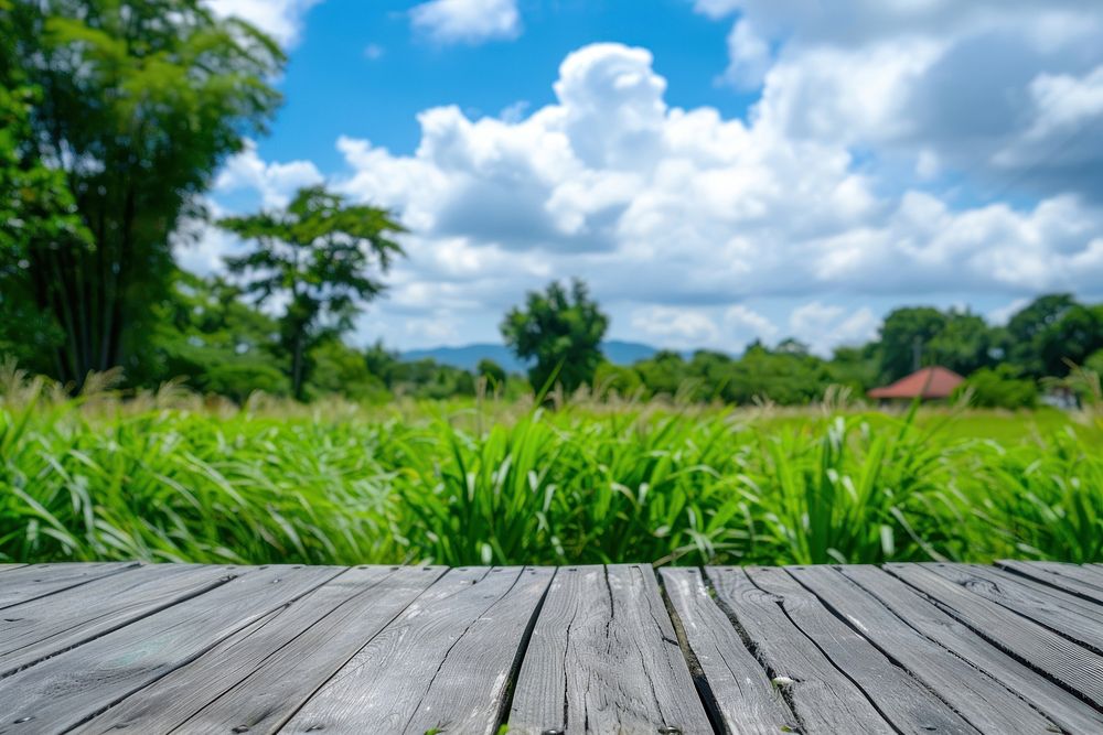 Wooden table background on a blur farm countryside vegetation landscape.