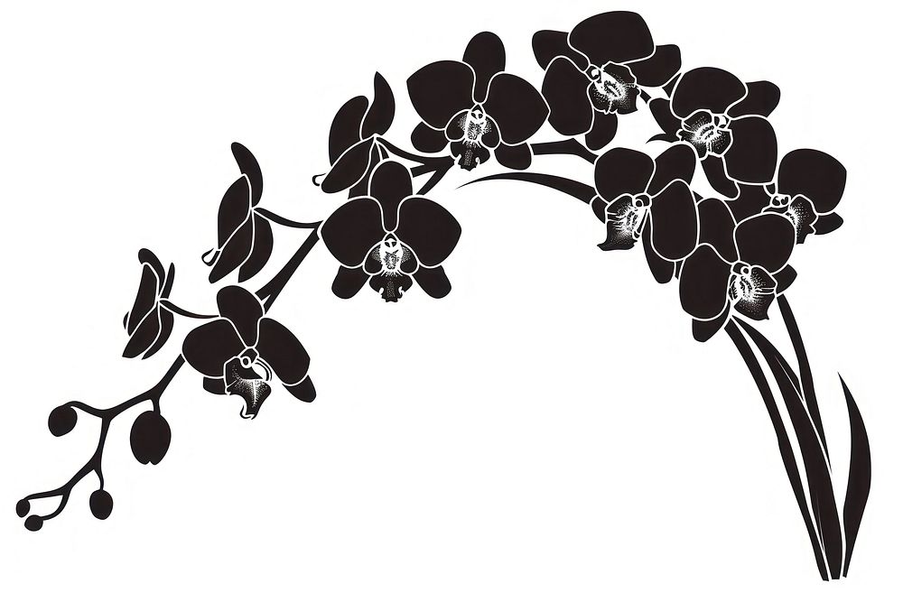 Orchid art graphics blossom.