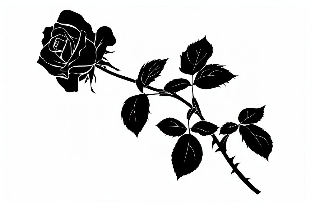 Silhouette rose art blossom.