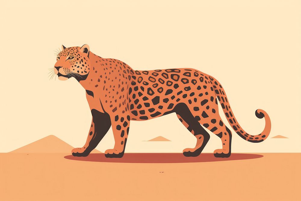Jaguar wildlife cheetah panther.